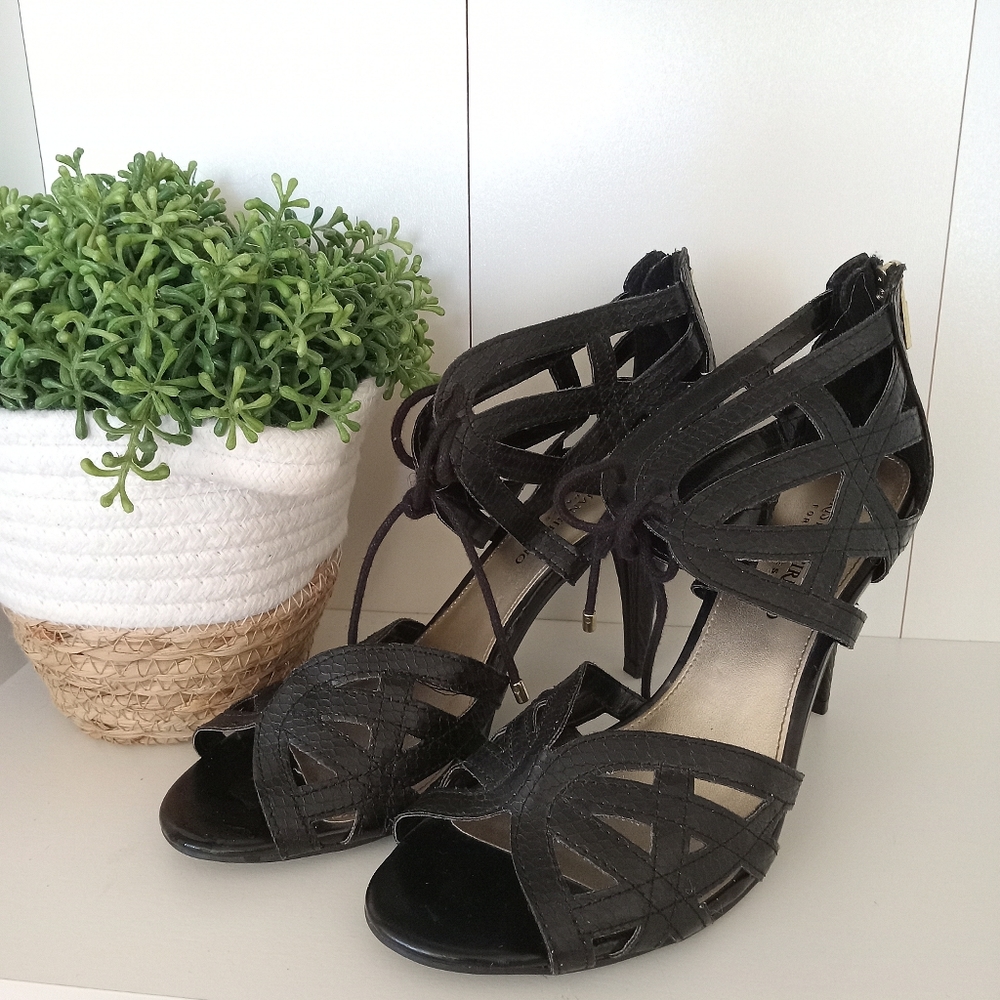 Black Snakeprint - image 3